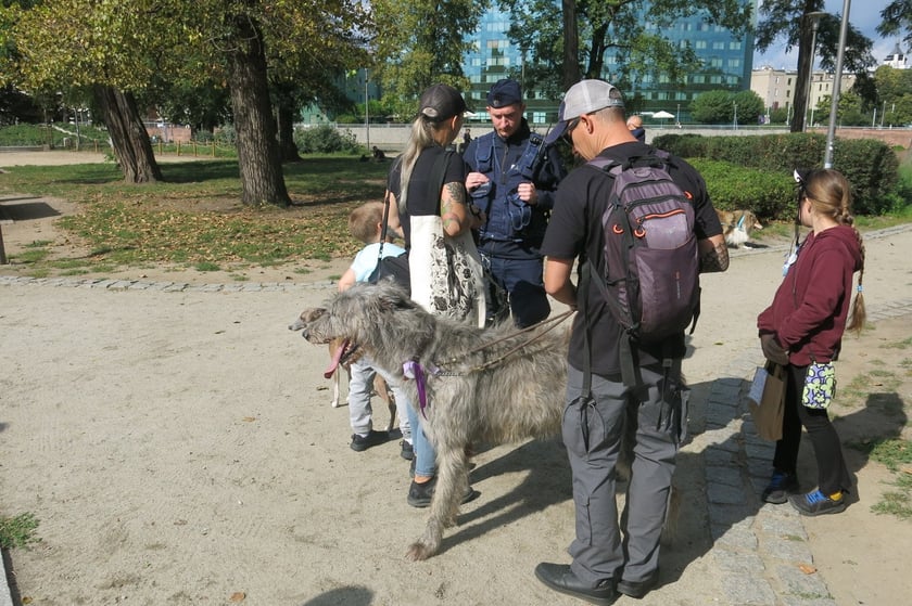 V Parada Ps&oacute;w Wrocławskich przeszła ulicami miasta na Wyspę Słodową&nbsp;
