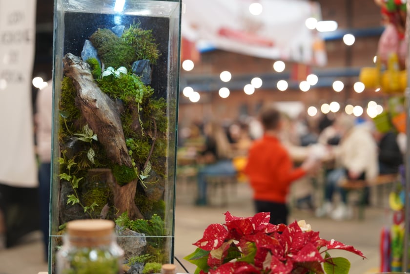 Festiwal Kupuj Świadomie w Czasoprzestrzeni (2 i 3 grudnia 2023)