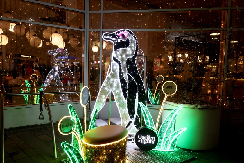 Iluminacje świąteczne wok&oacute;ł wrocławskich galerii
