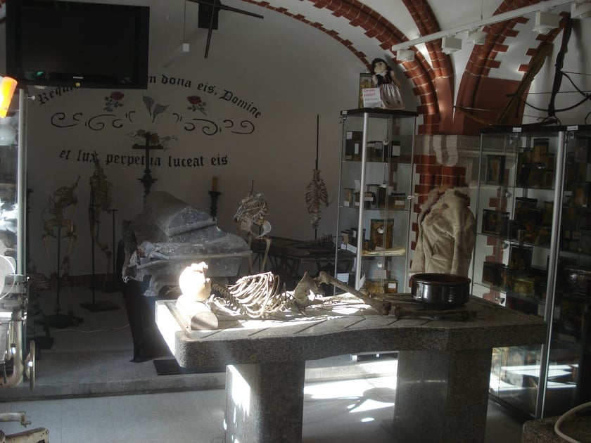 Muzeum Medycyny Sądowej Uniwersytetu Medycznego