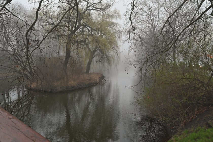 Wrocław osnuty poranną mgłą.