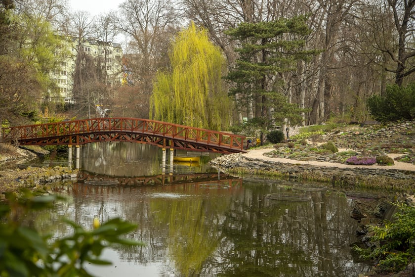 W Ogrodzie Botanicznym Uniwersytetu Wrocławskiego można podziwiać prawie 12 tysięcy roślin.&nbsp;Organizowane są tam również wydarzenia dla miłośników przyrody, warsztaty dla dzieci i festiwale. Sprawdź, jakie atrakcje czekają wiosną na mieszkańców Wrocławia.