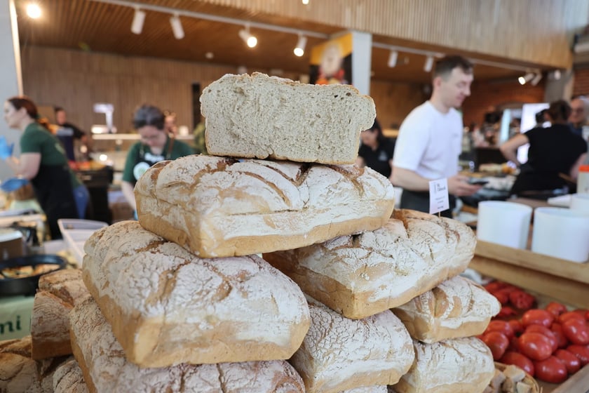 Wrocławska Feta, czyli Festiwal Piwa, Wina i Sera w Concordia Design