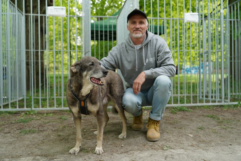 Piknik Adopcyjny Fundacji Centaurus w Parku Południowym