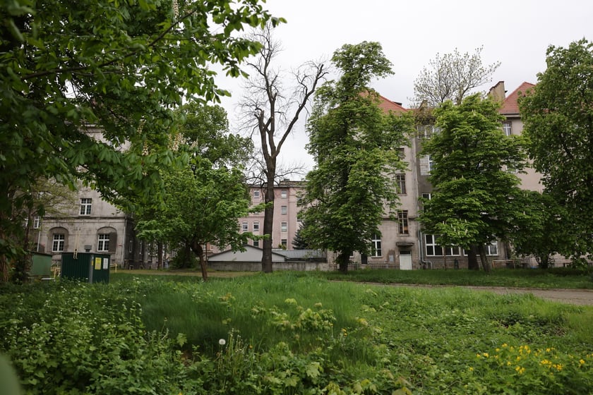 Budynki poszpitalne przy Traugutta w 2024 roku