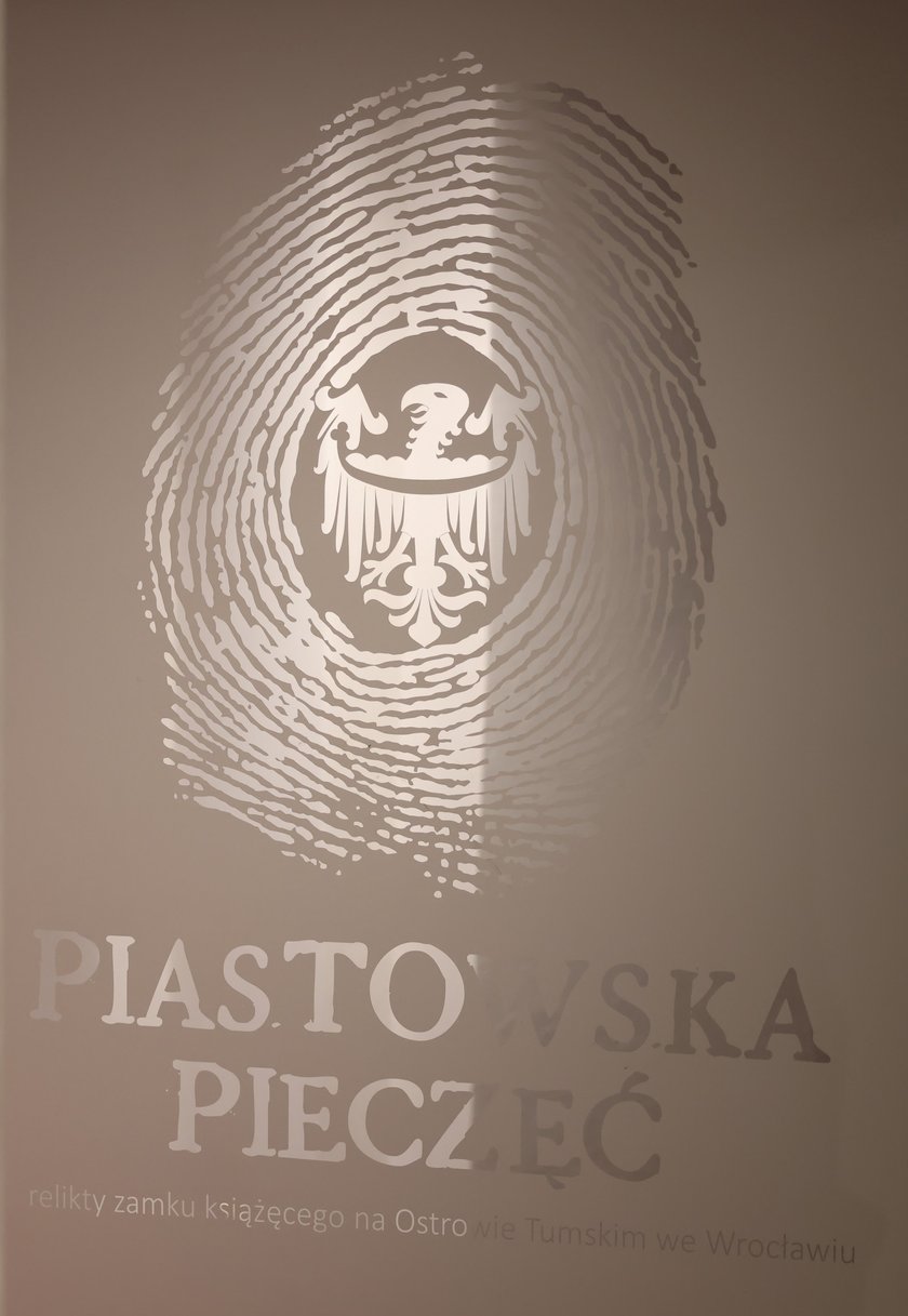 Zamek na Ostrowie Tumskim