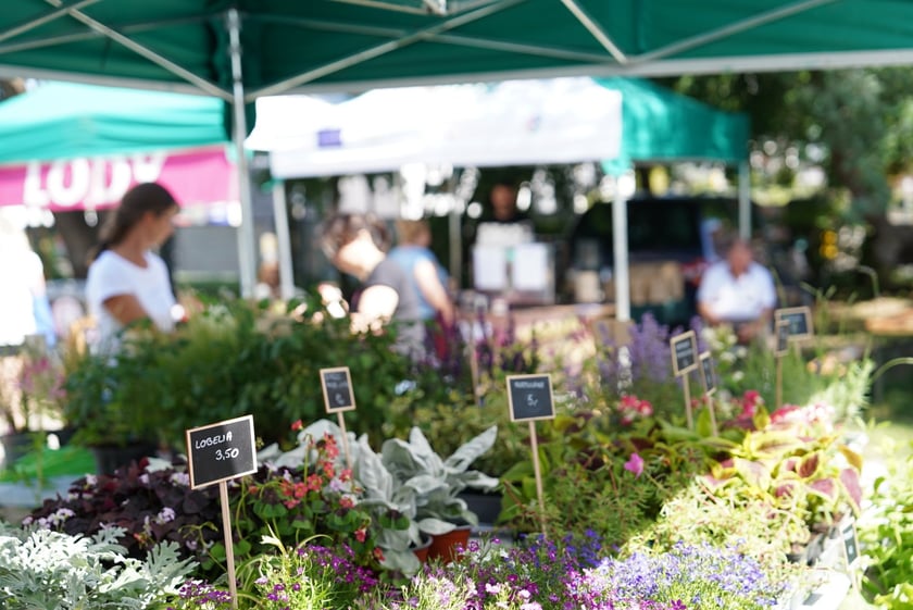 Targ Rolny na Zwycięskiej zaprasza. Smakołyki i pyszności