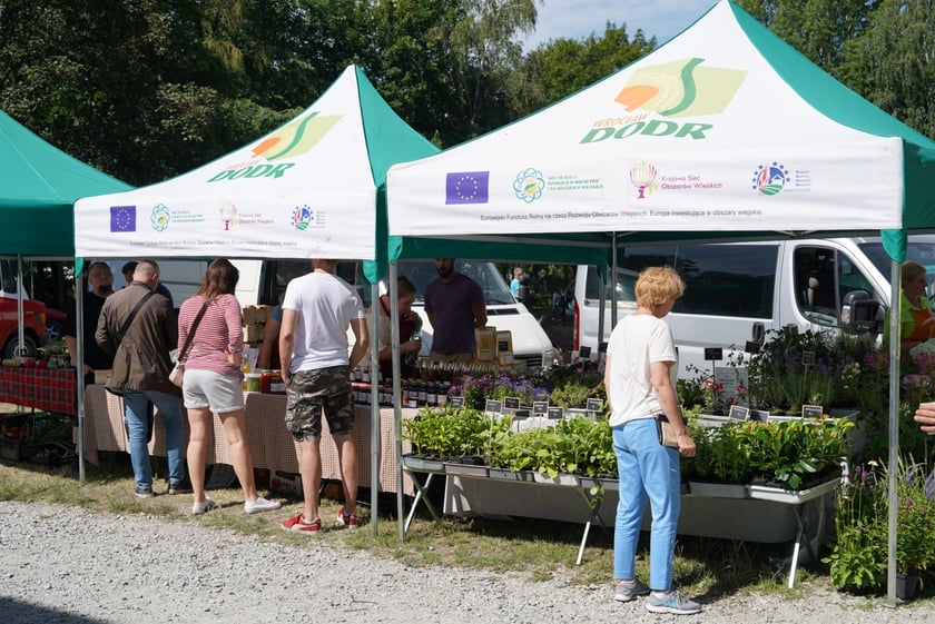 Targ Rolny na Zwycięskiej zaprasza. Smakołyki i pyszności