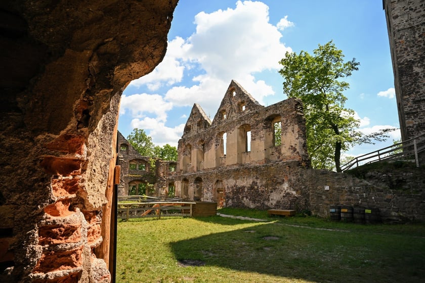 Zamek Świny. Klimatyczny zabytek nieopodal Bolkowa, ponad godzinę jazdy samochodem z Wrocławia