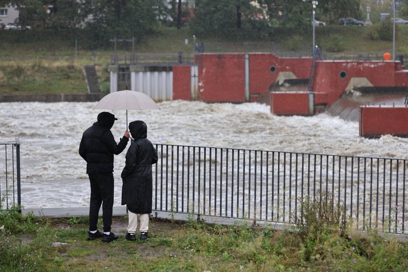 Widok na Odrę we Wrocławiu