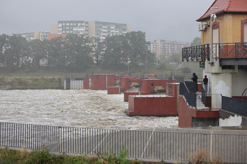 Widok na Odrę we Wrocławiu