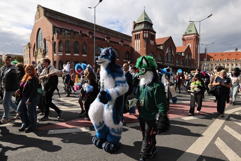 Wrocławski Furwalk 2024