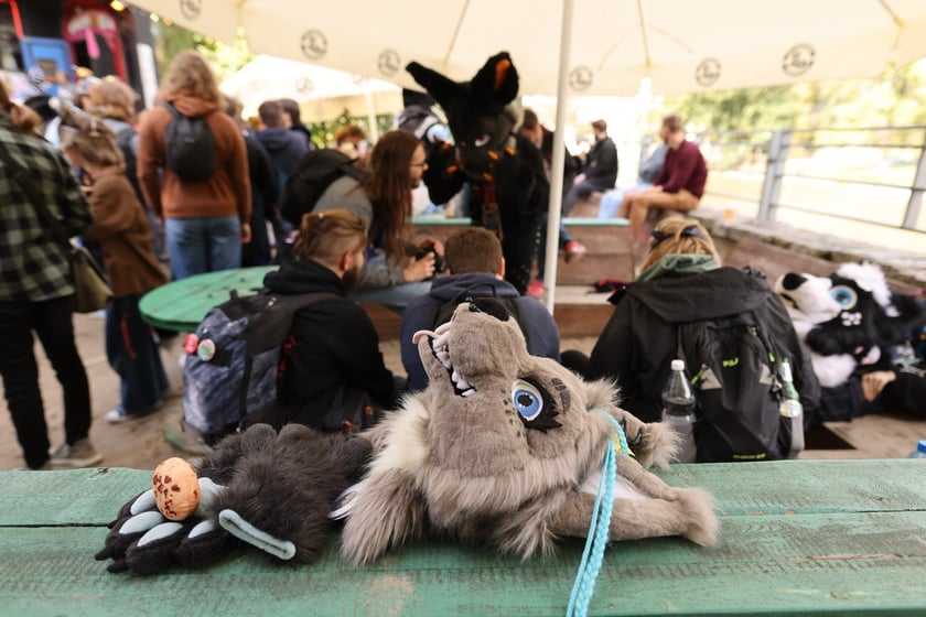 Wrocławski Furwalk 2024