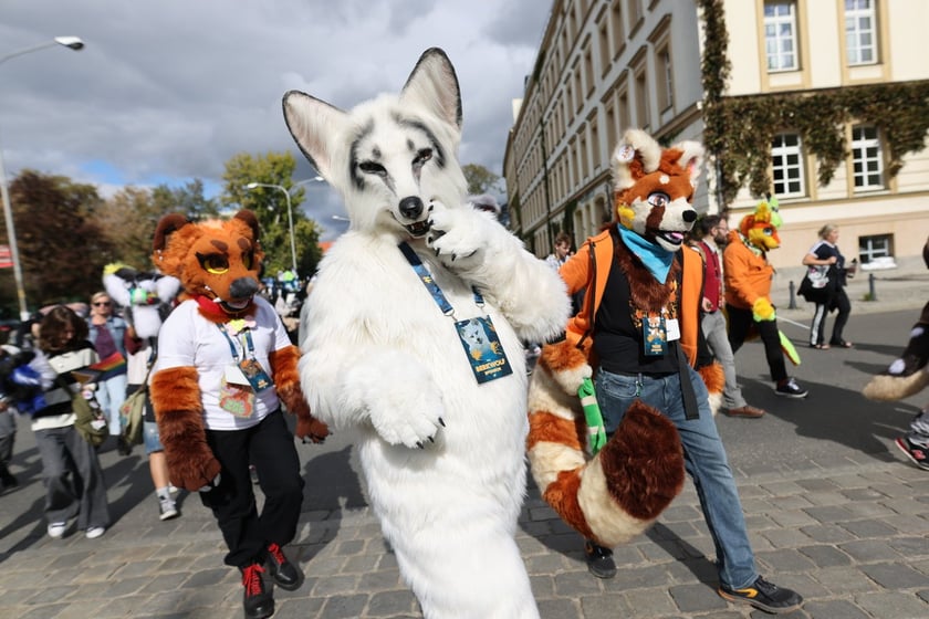 Wrocławski Furwalk 2024