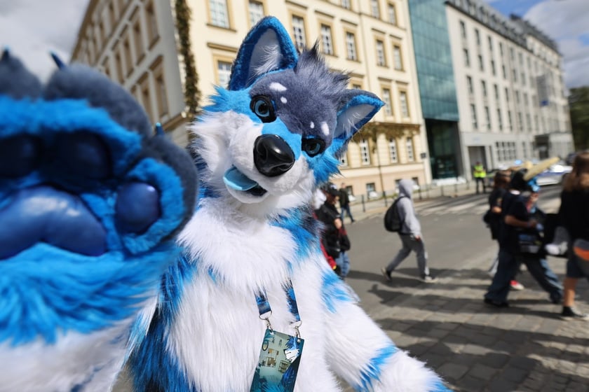 Wrocławski Furwalk 2024
