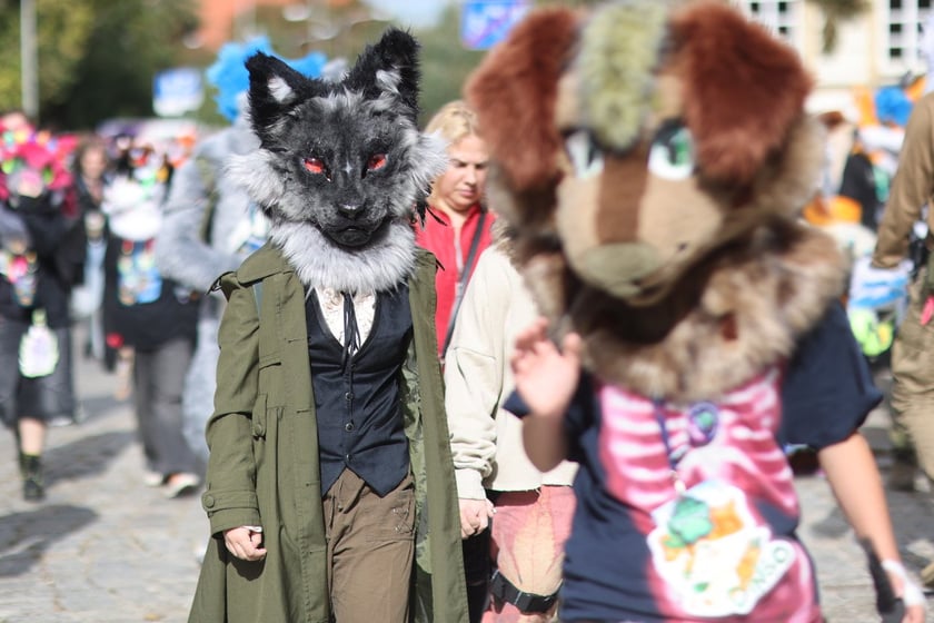 Wrocławski Furwalk 2024