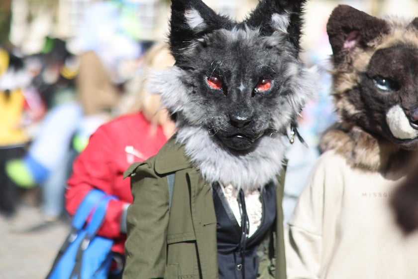 Wrocławski Furwalk 2024