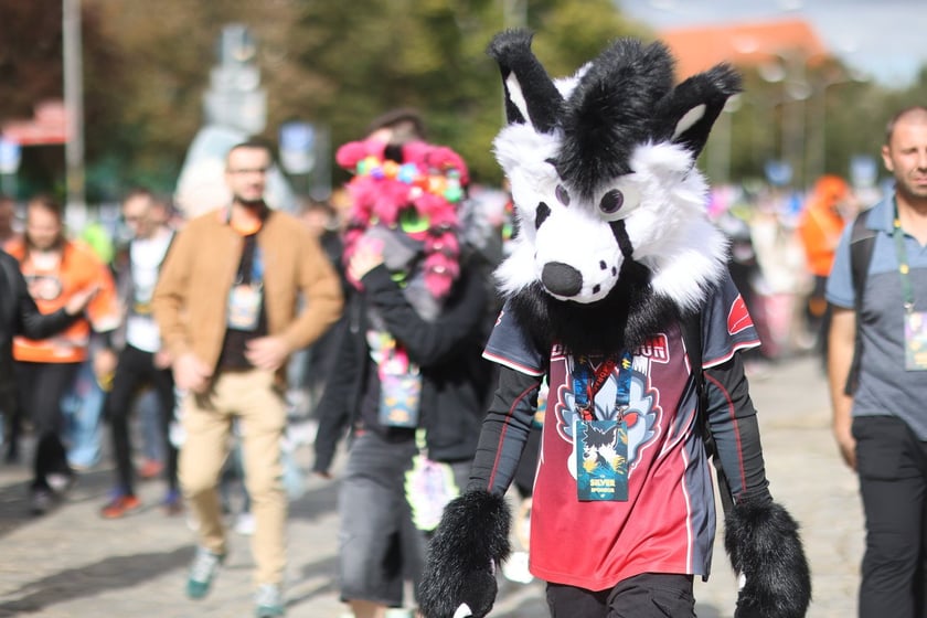 Wrocławski Furwalk 2024