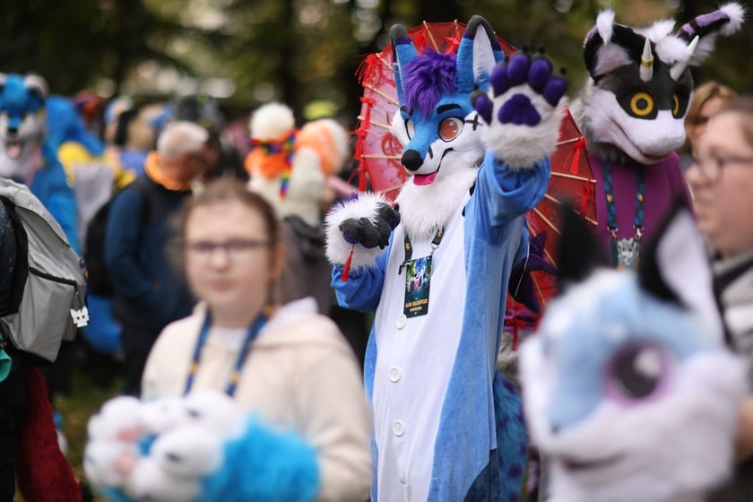 Wrocławski Furwalk 2024