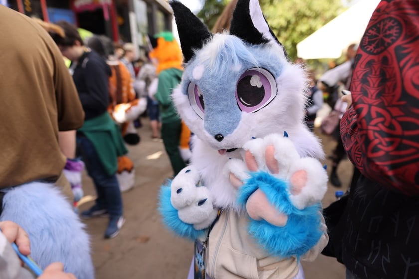 Wrocławski Furwalk 2024