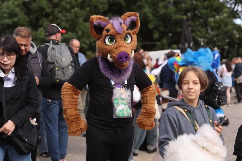 Wrocławski Furwalk 2024