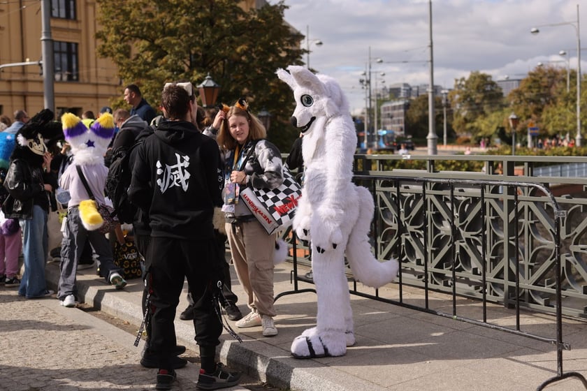 Wrocławski Furwalk 2024