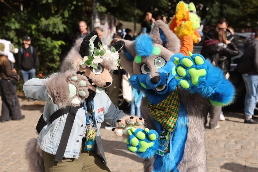 Wrocławski Furwalk 2024