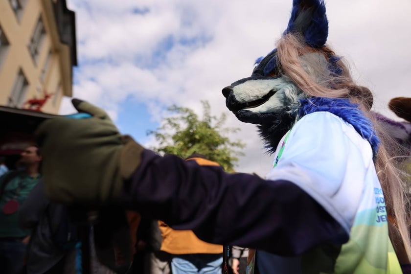 Wrocławski Furwalk 2024