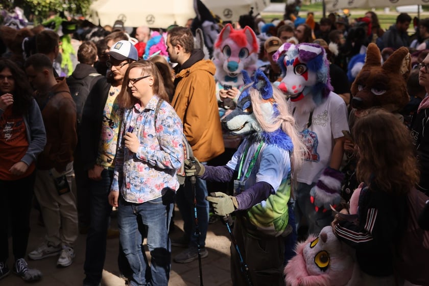 Wrocławski Furwalk 2024