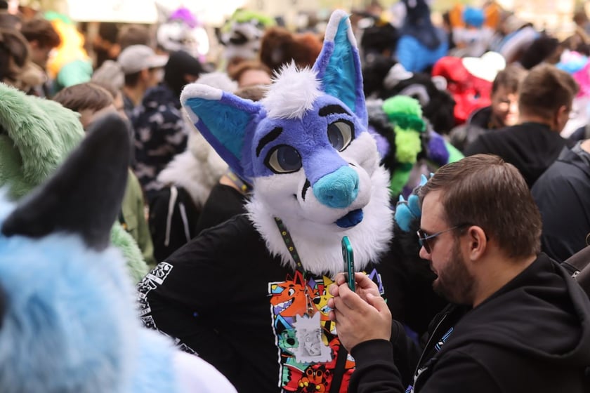 Wrocławski Furwalk 2024