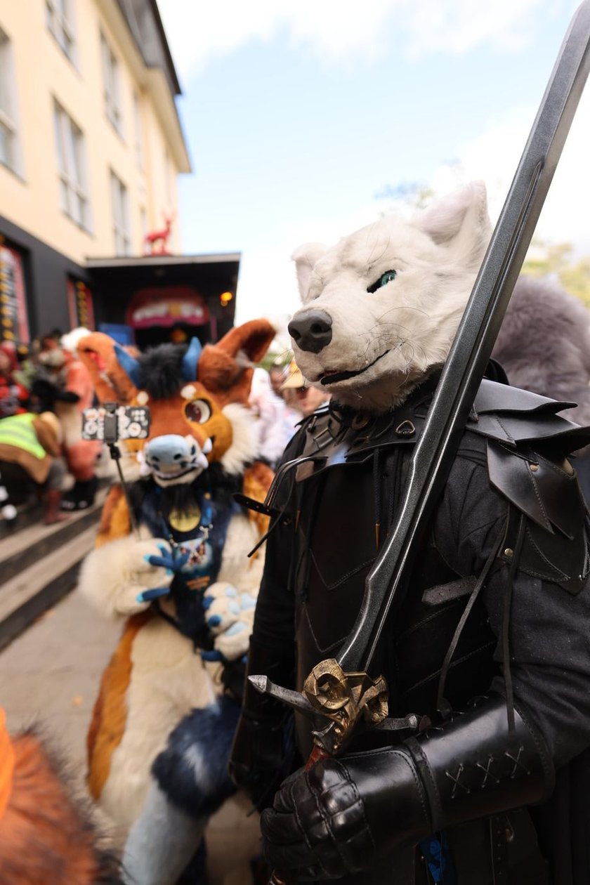 Wrocławski Furwalk 2024