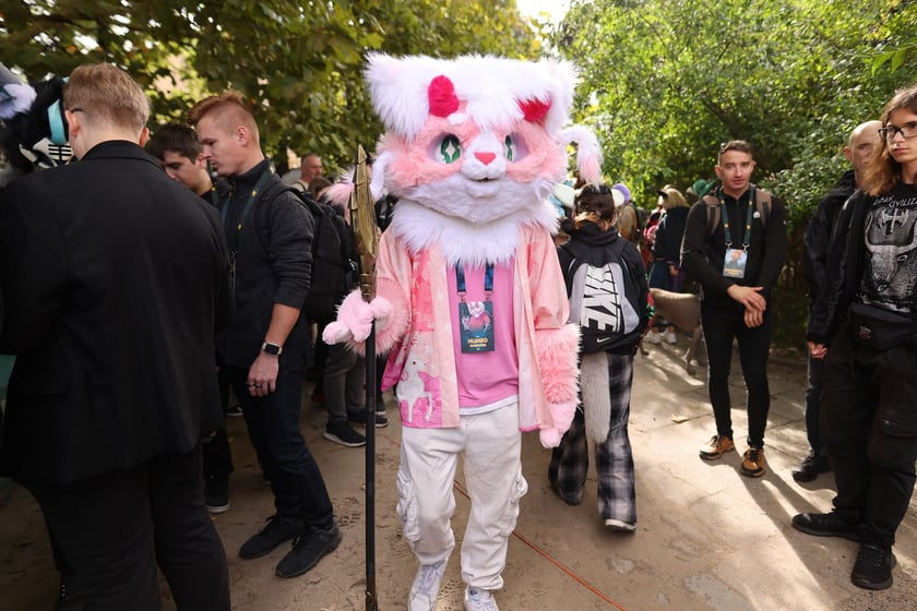 Wrocławski Furwalk 2024