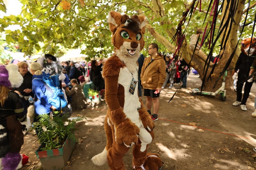 Wrocławski Furwalk 2024