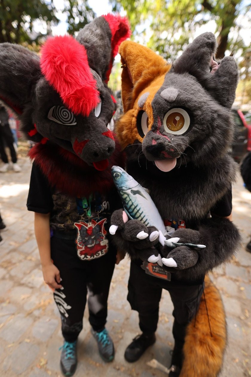 Wrocławski Furwalk 2024