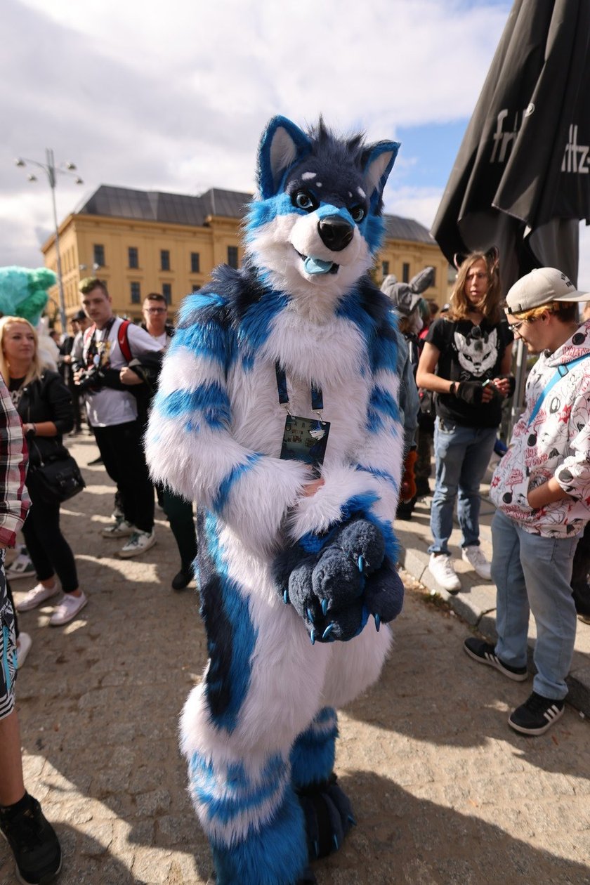 Wrocławski Furwalk 2024