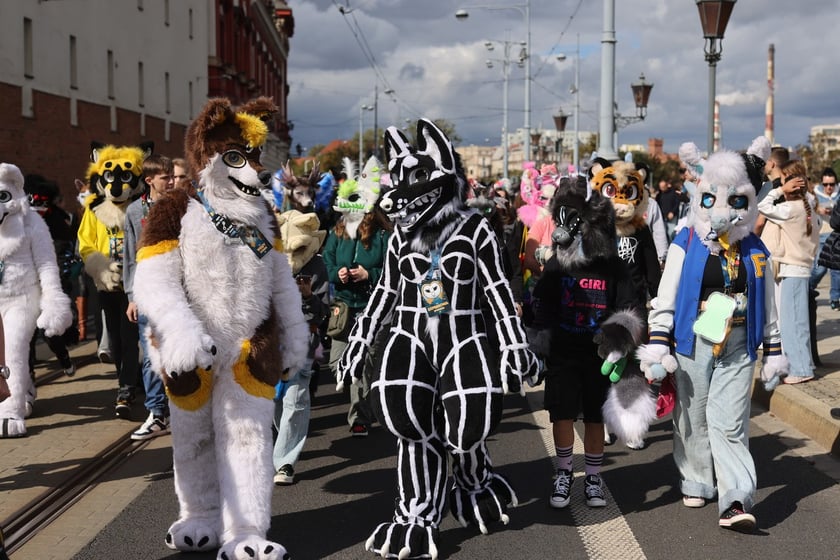 Wrocławski Furwalk 2024