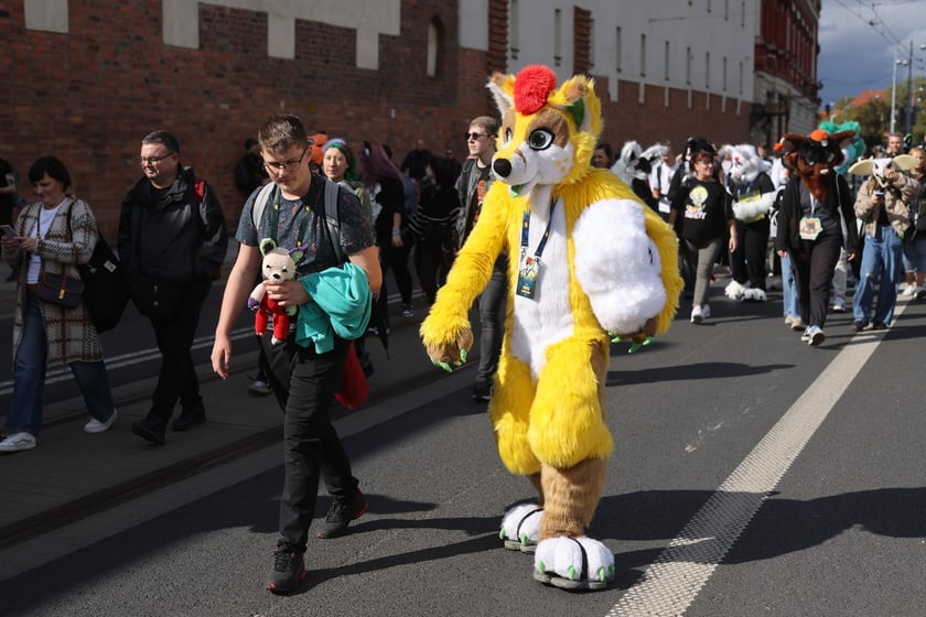 Wrocławski Furwalk 2024