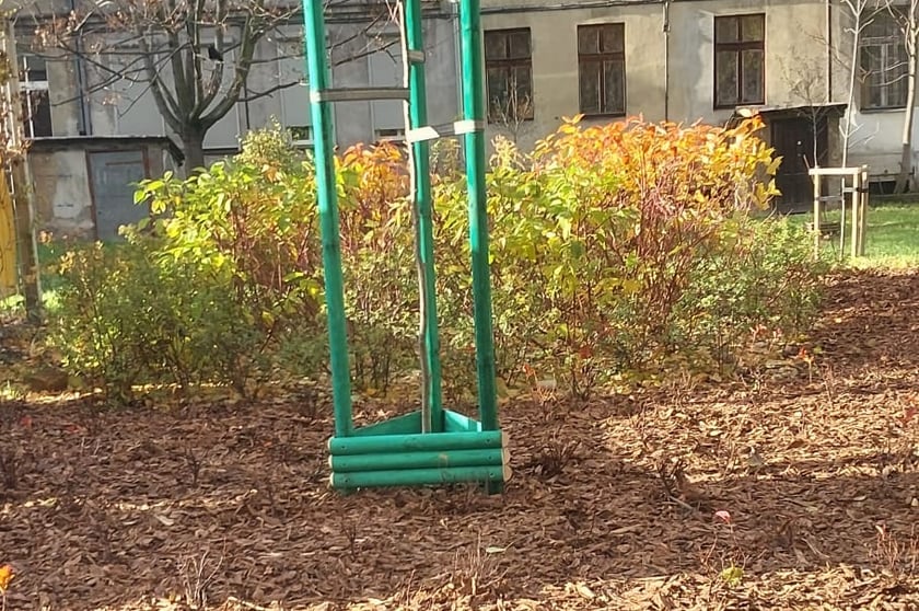Rekultywacja skwerów, placyków i terenów zielonych w centrum Wrocławia.