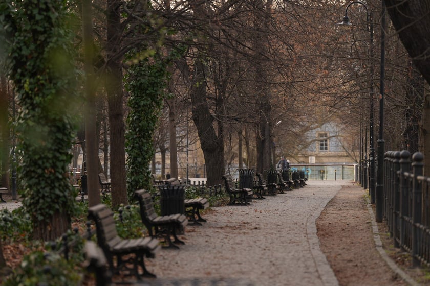 Wrocław w noworoczny poranek wyglądał tak, jakby tu nikt nie mieszkał...