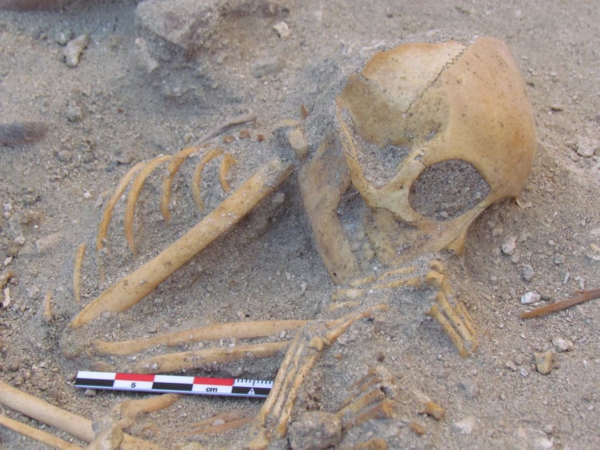 Szkielet małpki pochowanej 2 tys. lat temu