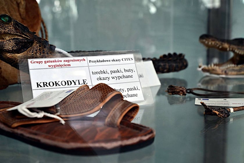 Kolekcja zarekwirowanych wakacyjnych pamiątek. Można je zobaczyć w gablocie w terminalu wrocławskiego lotniska