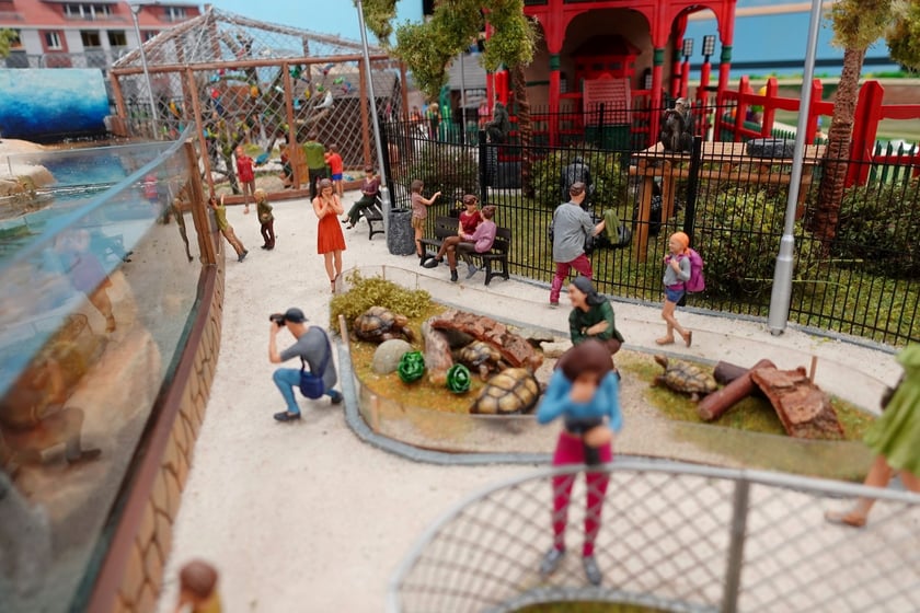 Miniaturowe ZOO w Kolejkowie, makieta