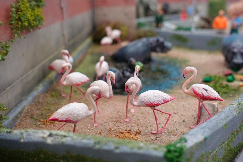 Miniaturowe ZOO w Kolejkowie, makieta