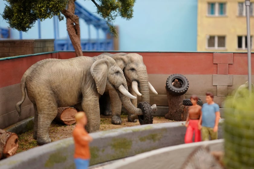 Miniaturowe ZOO w Kolejkowie, makieta
