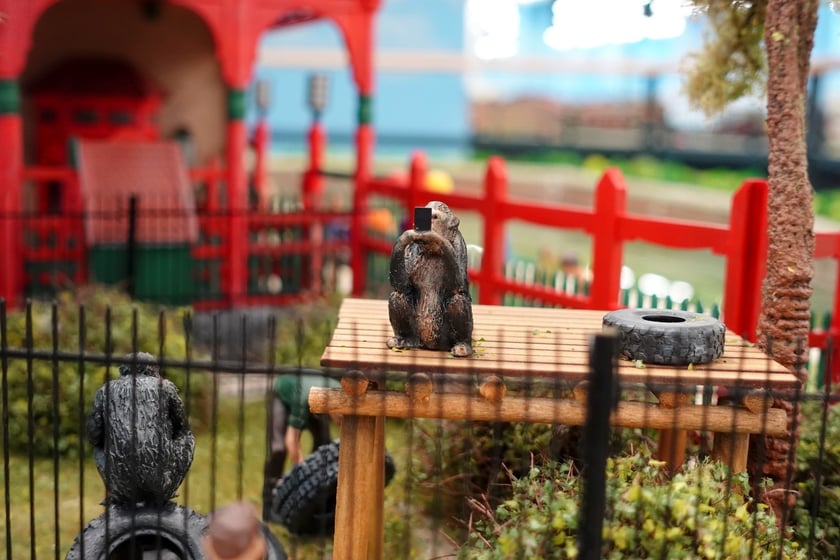 Miniaturowe ZOO w Kolejkowie, makieta