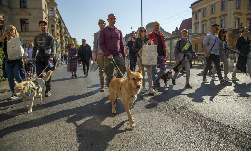 Uczestnicy parady w 2022 roku