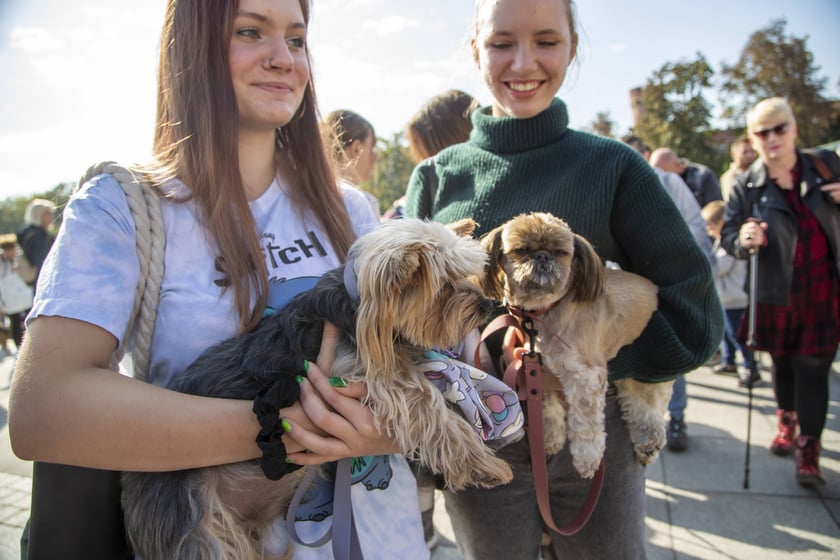 Uczestnicy parady w 2022 roku