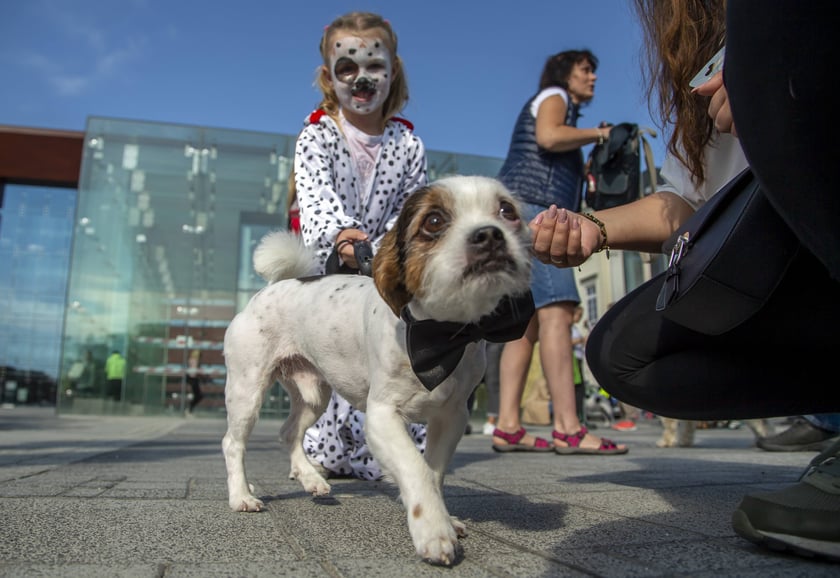 Uczestnicy parady w 2022 roku