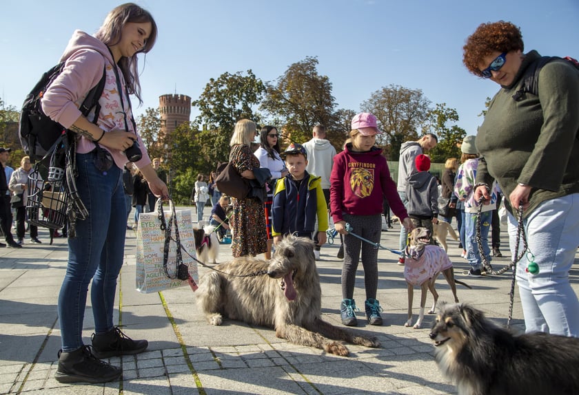 Uczestnicy parady w 2022 roku