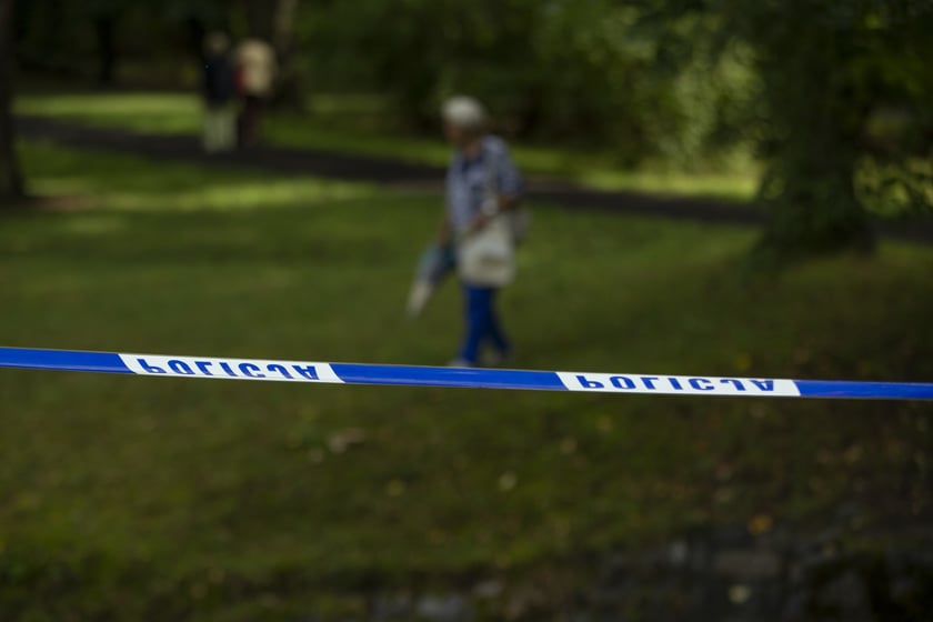 Katastrofa ekologiczna w parku Szczytnickim. Nie żyje mnóstwo ryb